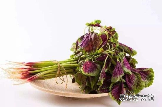 甲鱼和苋菜可以一起吃吗