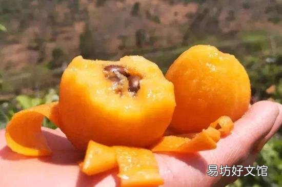 琵琶皮能吃么