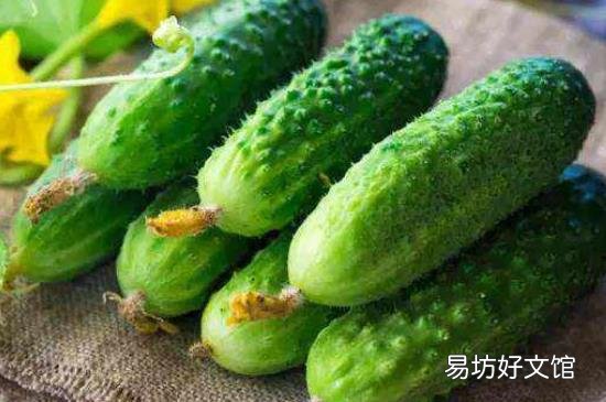 菠菜可以和黄瓜一起吃吗?