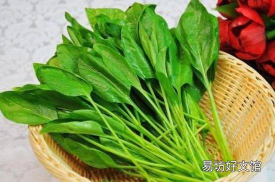 菠菜可以和黄瓜一起吃吗?