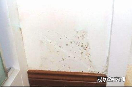 墙上有霉斑如何处理