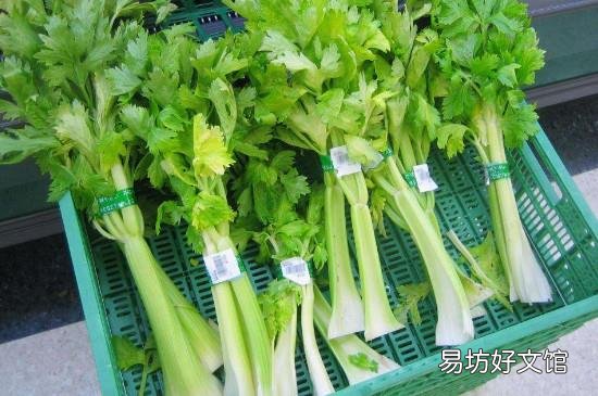 芹菜和土豆能一起吃吗