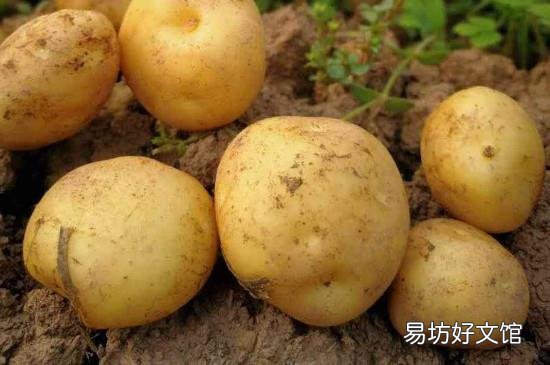 芹菜和土豆能一起吃吗