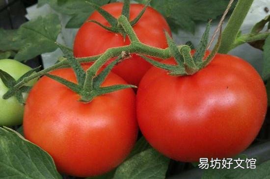 鸡蛋没煮熟怎么补救
