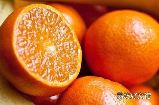 扇贝不能和什么一起吃