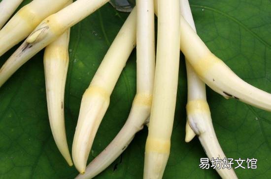 新鲜藕带怎样保存不变色