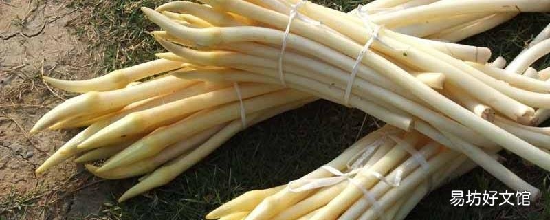 新鲜藕带怎样保存不变色