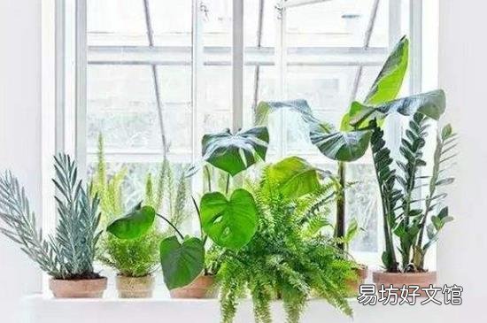 开暖气太干上火怎么办