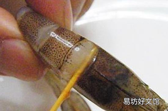 怎么处理虾线