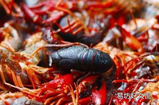 怎么处理活虾