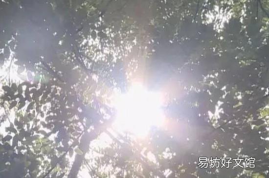 怎么打理皮鞋