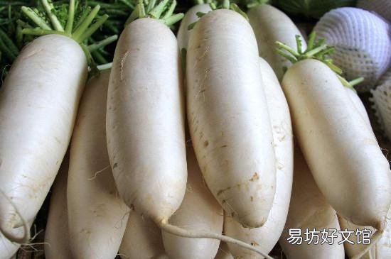 羊肉和萝卜能同吃吗