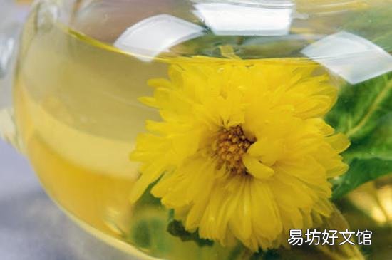 蒲公英可以和什么一起泡水喝