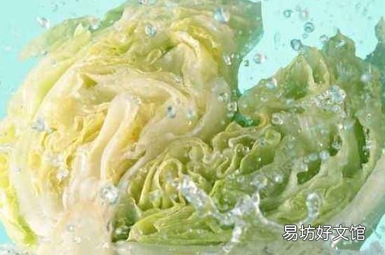 包菜可以生吃吗