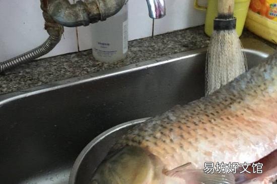 杀好的鱼放冰箱前要不要洗