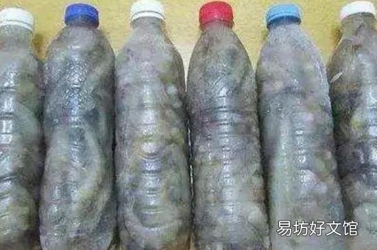 虾冻之前要不要洗