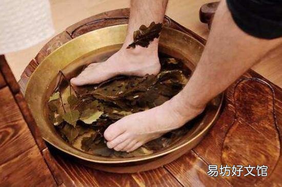 苦蒿泡脚的功效和作用