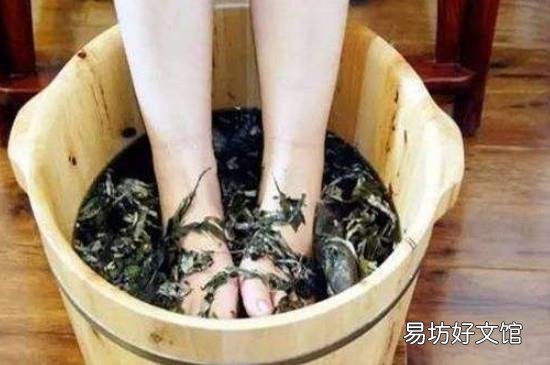 苦蒿泡脚的功效和作用