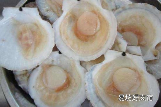 清蒸扇贝需要几分钟
