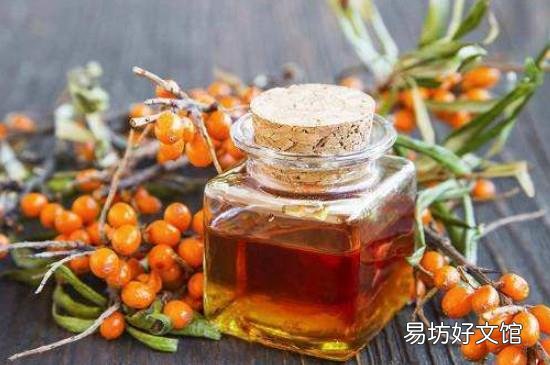 沙棘果油的功效与作用及食用方法