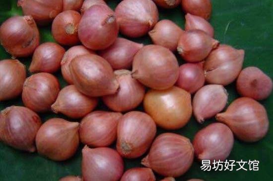 生吃毛葱的功效与作用