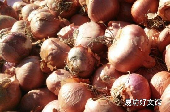生吃毛葱的功效与作用