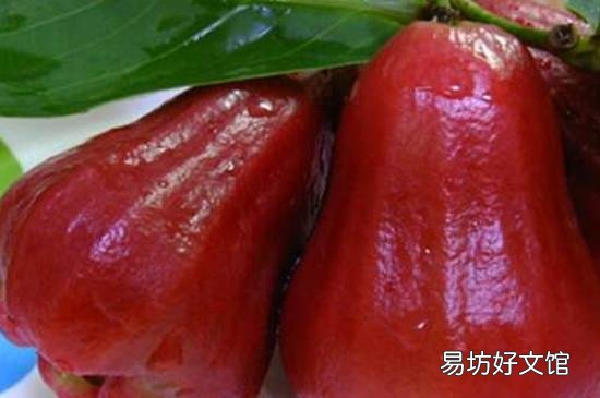 莲雾要削皮吗