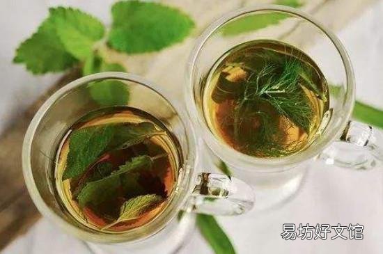 薄荷根能泡水喝吗