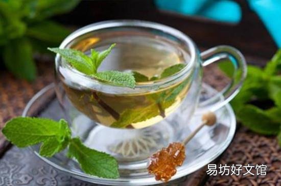 薄荷根能泡水喝吗