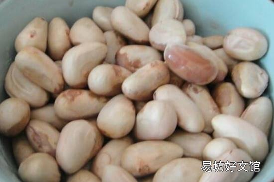 菠萝蜜的籽可以吃吗