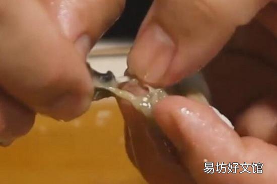 生蚝怎么去内脏图解