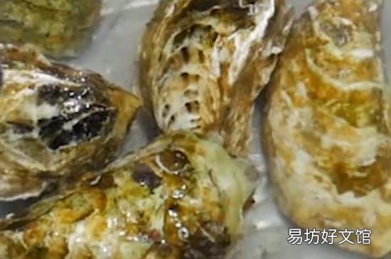 生蚝怎么去内脏图解