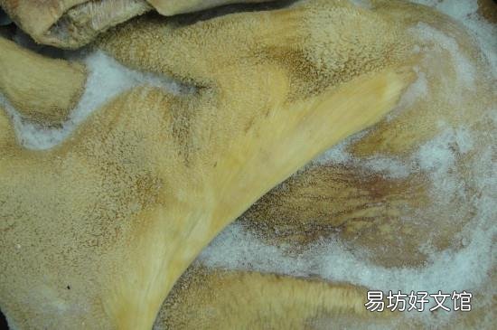 煮牛肚怎么能去掉异味