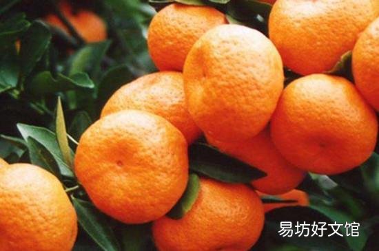 蜜橘上火嘛