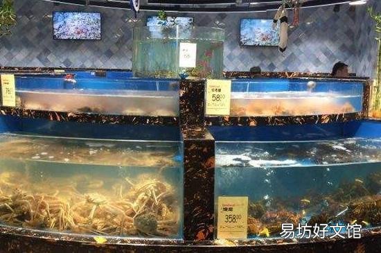 活鲍鱼如何冷冻保存
