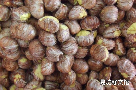 板栗出芽了可以吃吗