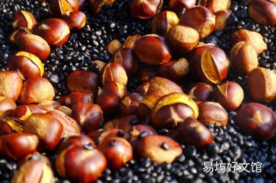 板栗出芽了可以吃吗
