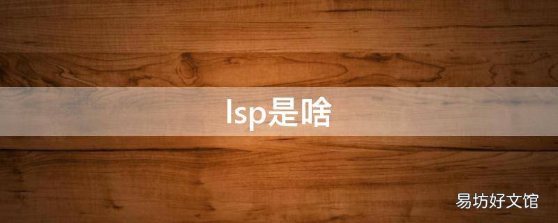 lsp是啥
