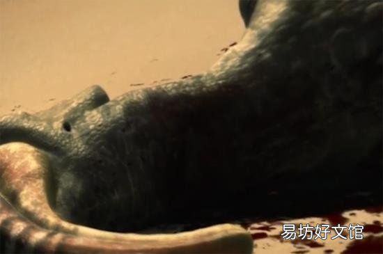 恐龙是怎么灭绝的