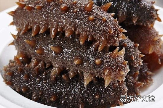 湿海参怎么保存