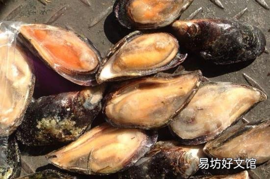 蓝口贝怎么清洗