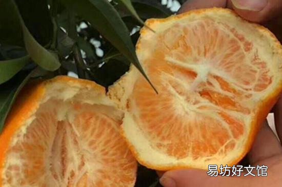 耙耙柑什么人不能吃