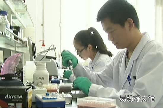 怎么辨别新型冠状病毒