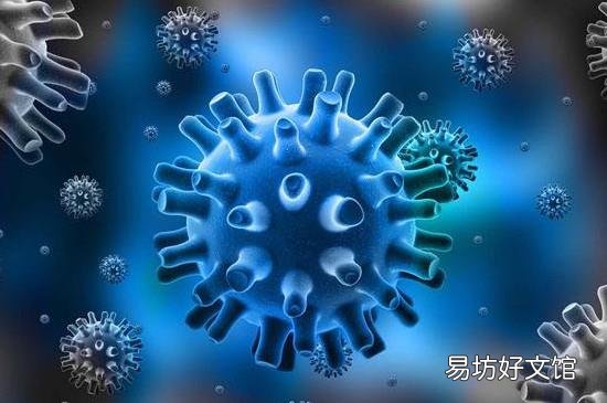 怎么辨别新型冠状病毒
