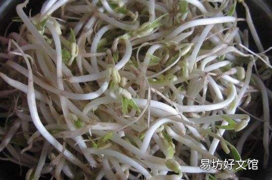 羽绒服受潮发霉有黑点