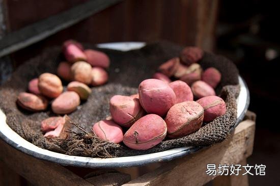 可乐果是什么东西