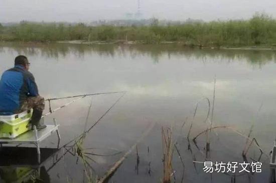 钓鱼调漂的正确方法