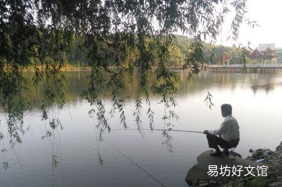 怎么钓鱼才能钓的多