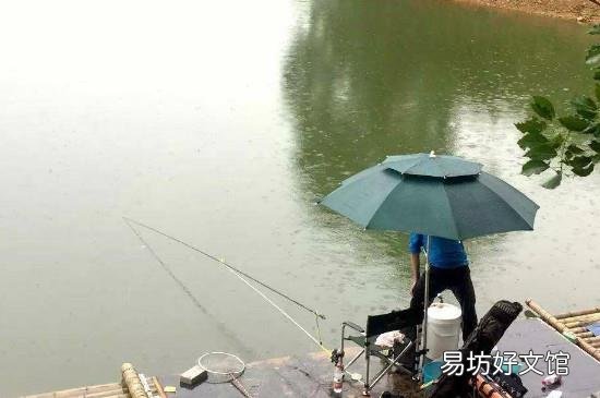 快下雨了可以钓鱼吗
