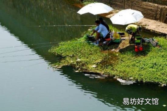 深秋怎么钓鲫鱼